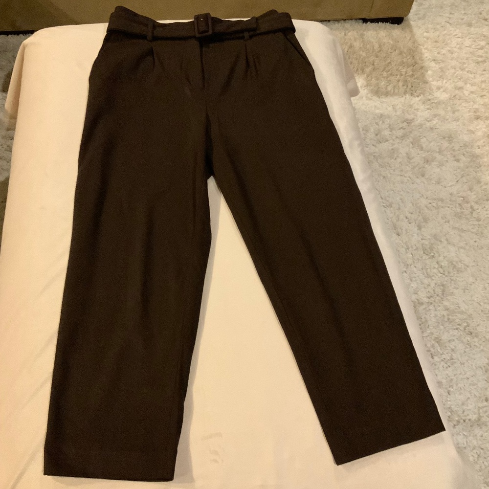 Ann Taylor Brown 8 Pants Matching Removable Fabric Belt Officecore Cottagecore